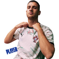 Portugal Player 25/26 Away Jersey