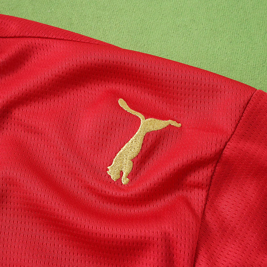Morocco World Cup Home 2026